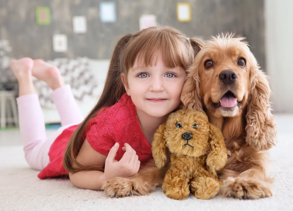 Lumo Stars Cockerspaniel Buddy 59921 Thumbnail 3