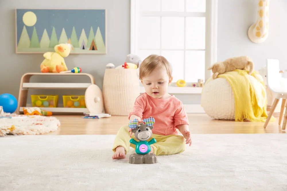 Fisher-Price GJB20 Thumbnail 7