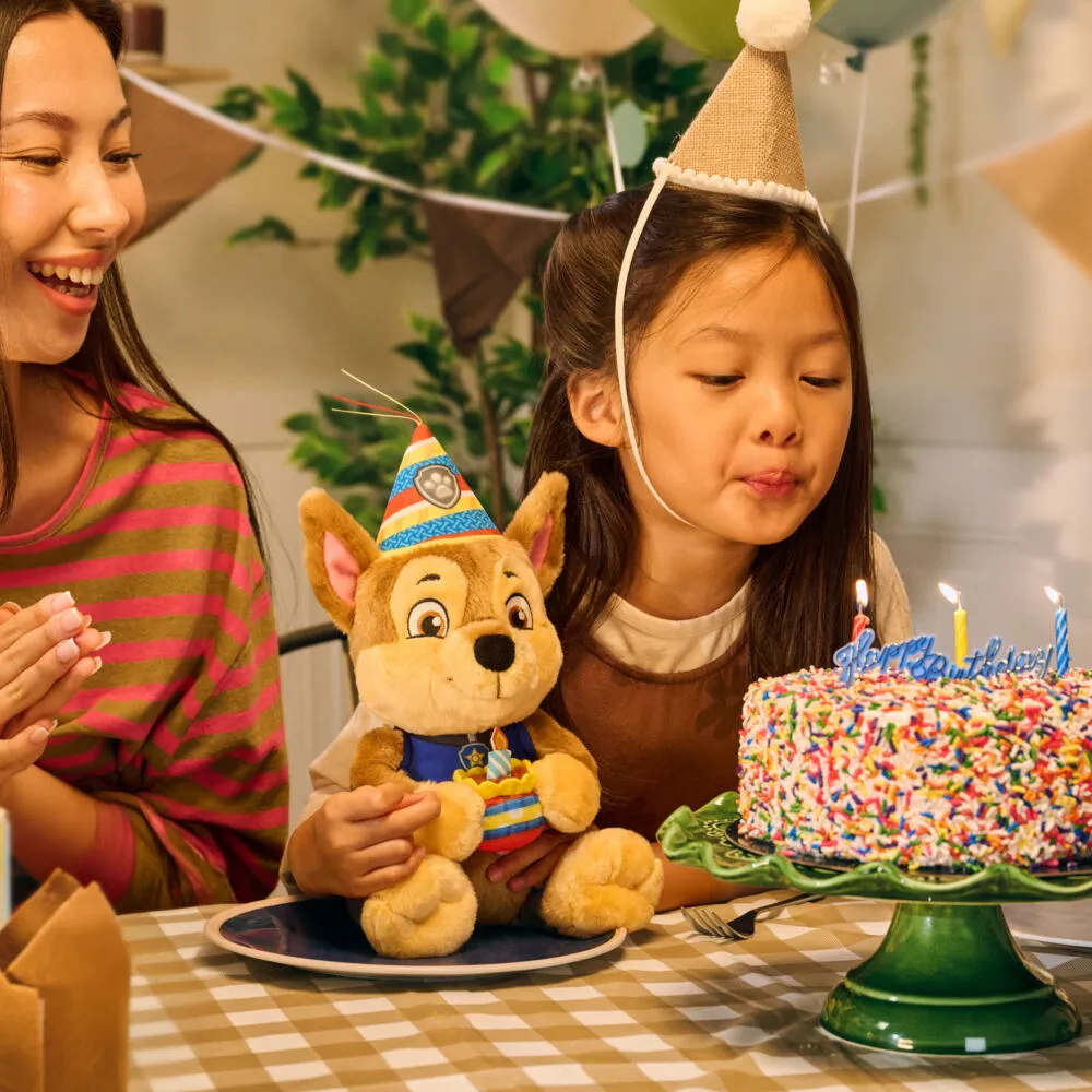 Spin Master PAW Patrol GPW 9Hin Birthday Chase GML Thumbnail 2