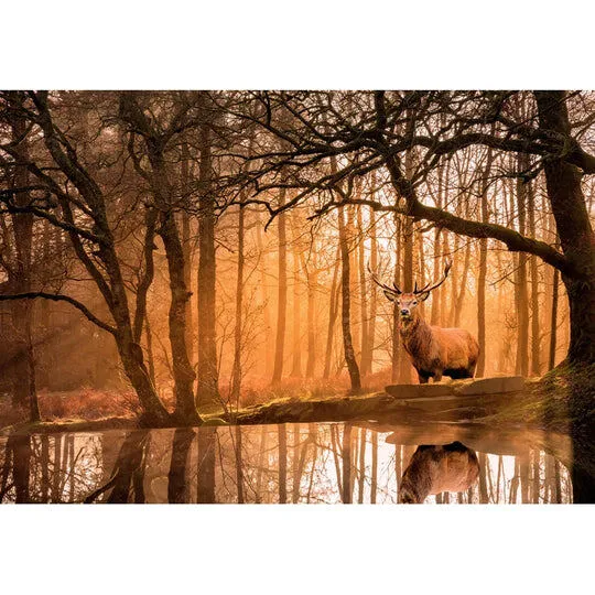 Clementoni 35118 500 Parça Puzzle Thumbnail 2