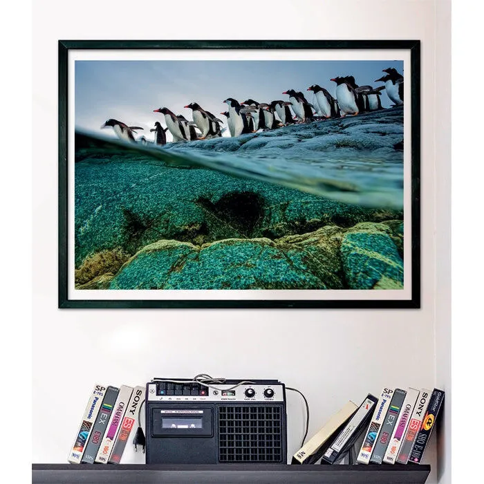 Clementoni Penguins 39730 1000 Parça Puzzle Thumbnail 3