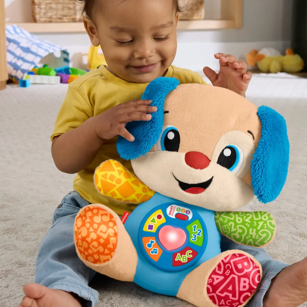 Fisher-Price Laugh & Learn JFD20 Thumbnail 6