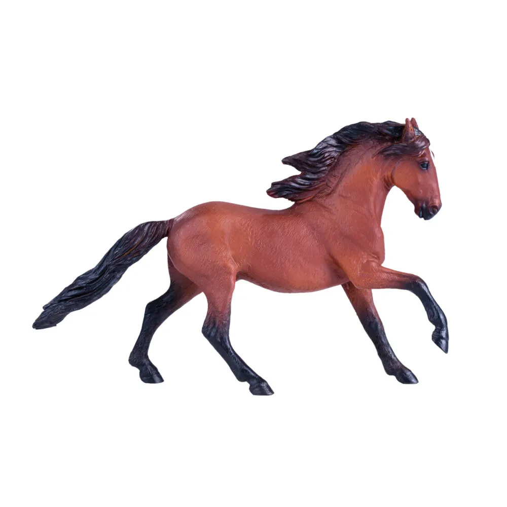Mojo Fun Lusitano 381002 Thumbnail 3