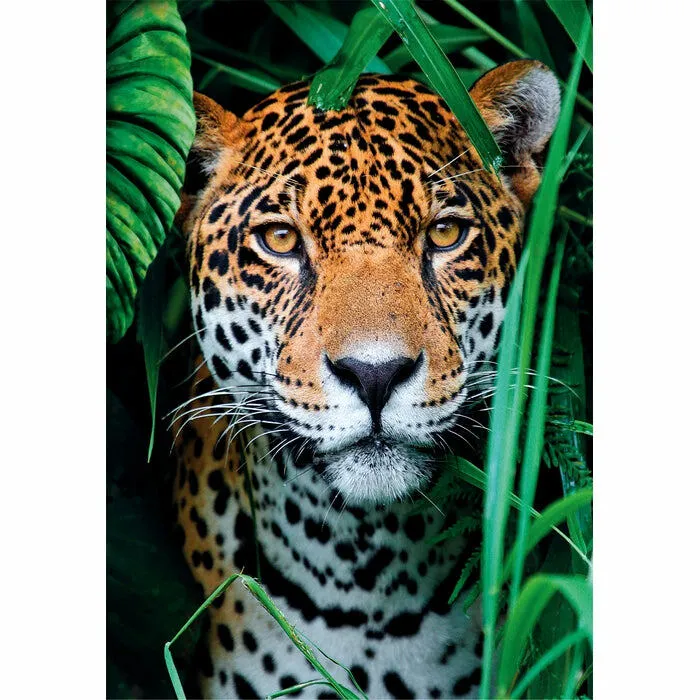 Clementoni High Quality Collection Jaguar in the Jungle 35541 500 Parça Puzzle Thumbnail 1