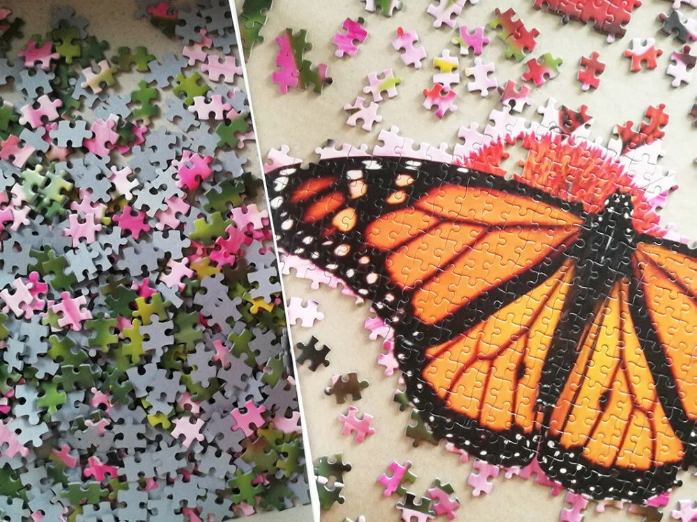 Tactic Monarch Butterfly 1000 Parça 58315 Puzzle Thumbnail 11