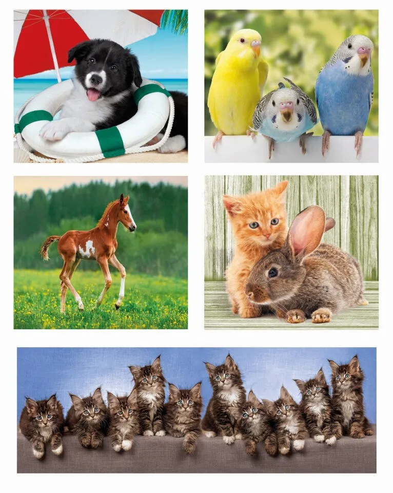 Clementoni Supercolor 20283 18 Parça Puzzle Thumbnail 4