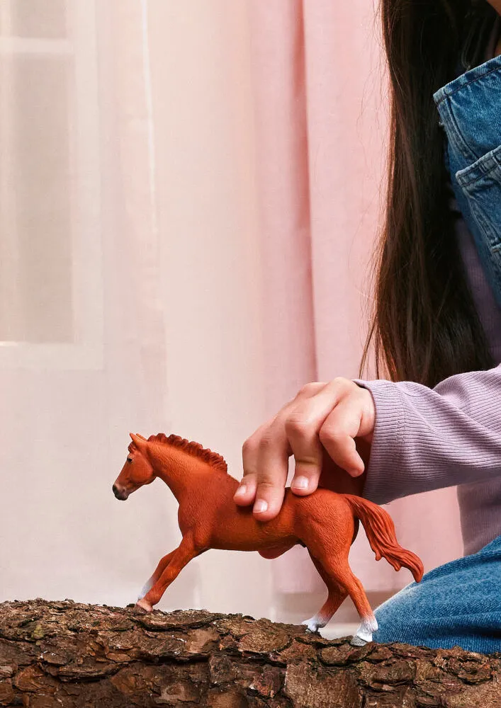 schleich 14915 At Oyuncak Figür Thumbnail 1