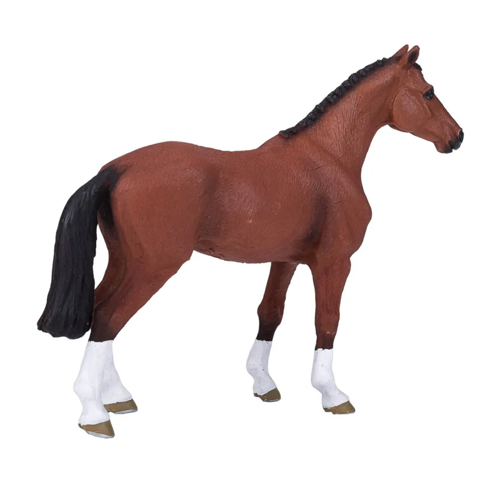 Mojo Fun Dutch Warmblood (Portugal) 387294 Thumbnail 1