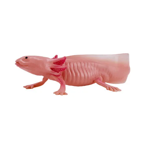 Mojo Fun Axolotl 381108 Wildlife Aksolotl Oyuncak Figür Thumbnail 1