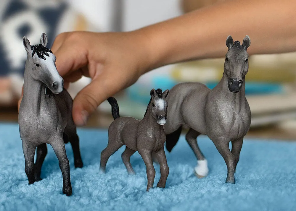 schleich HORSE CLUB 13955 Horses Oyuncak Figür Thumbnail 1