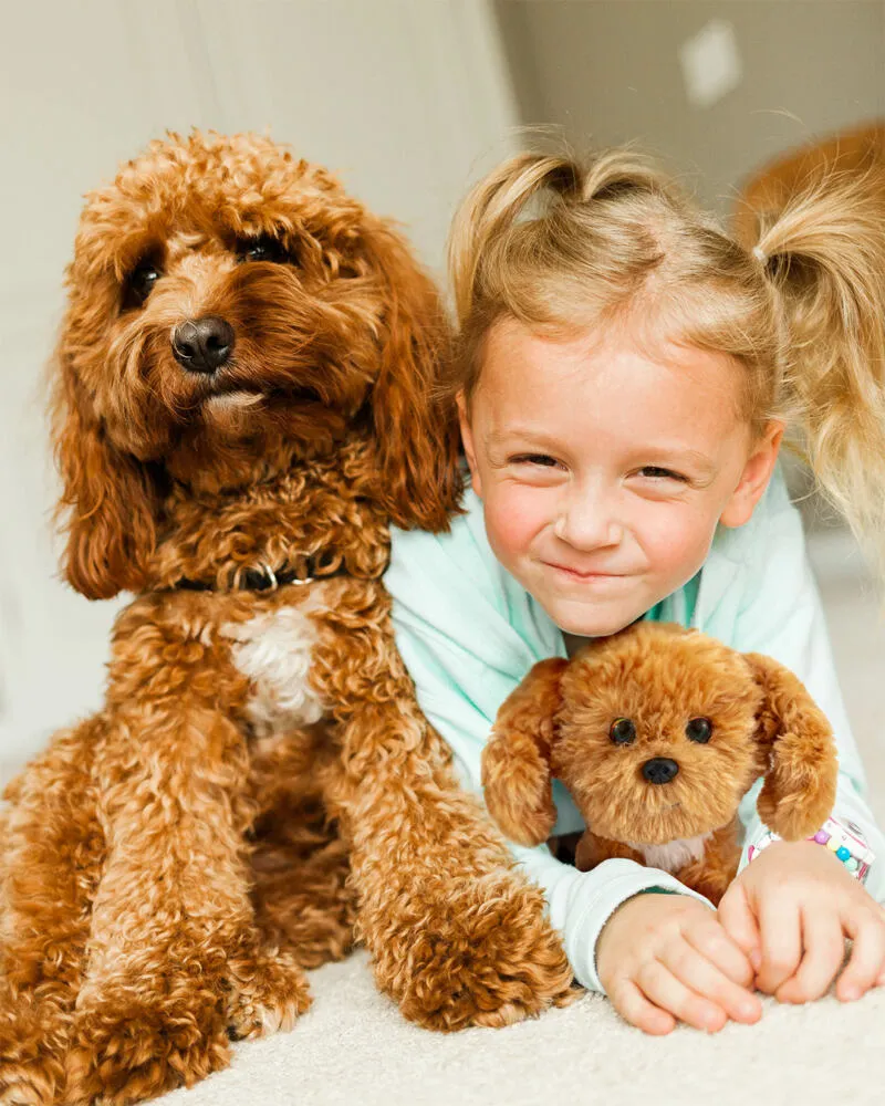 Lumo Stars Cavapoo Teddy 59920 Thumbnail 3