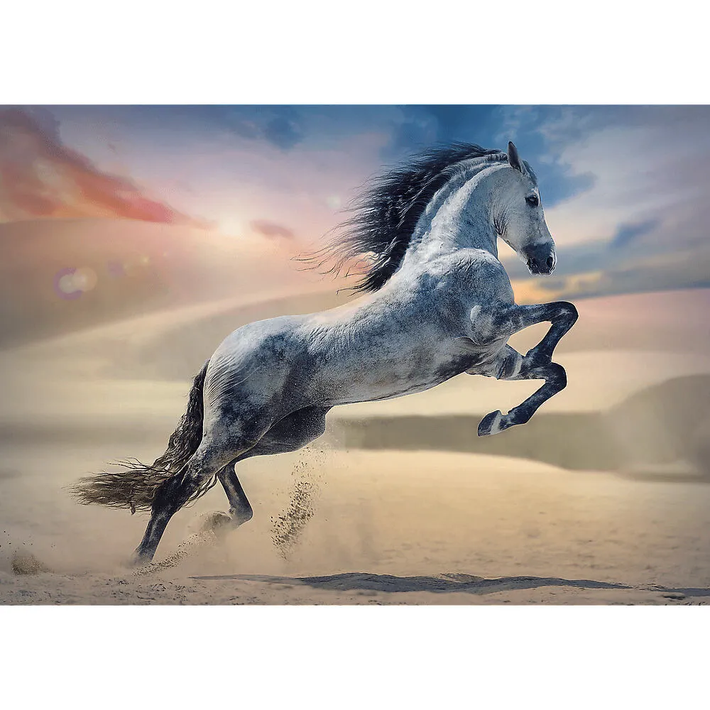 Trefl 10790 1000 Parça Puzzle Thumbnail 1
