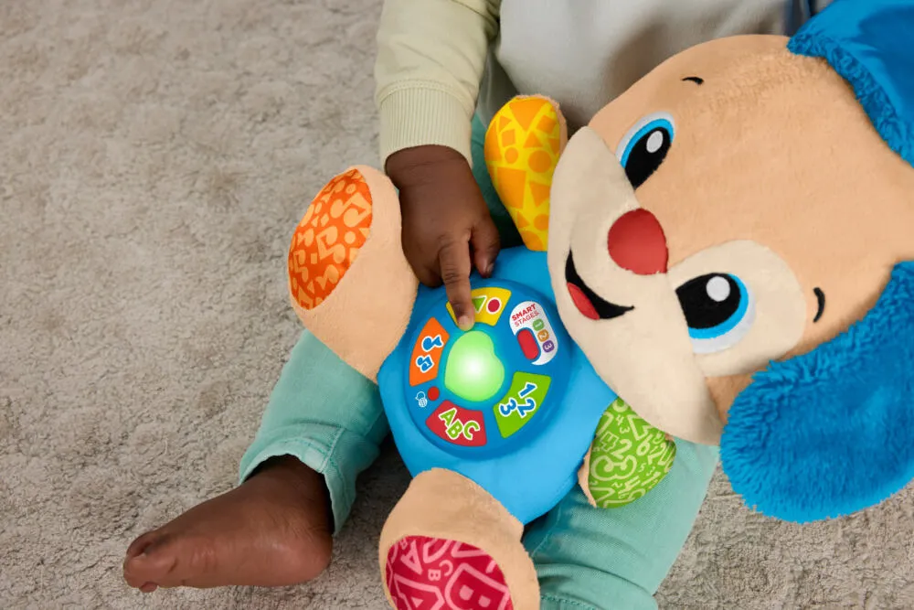 Fisher-Price Laugh & Learn JFD20 Thumbnail 8