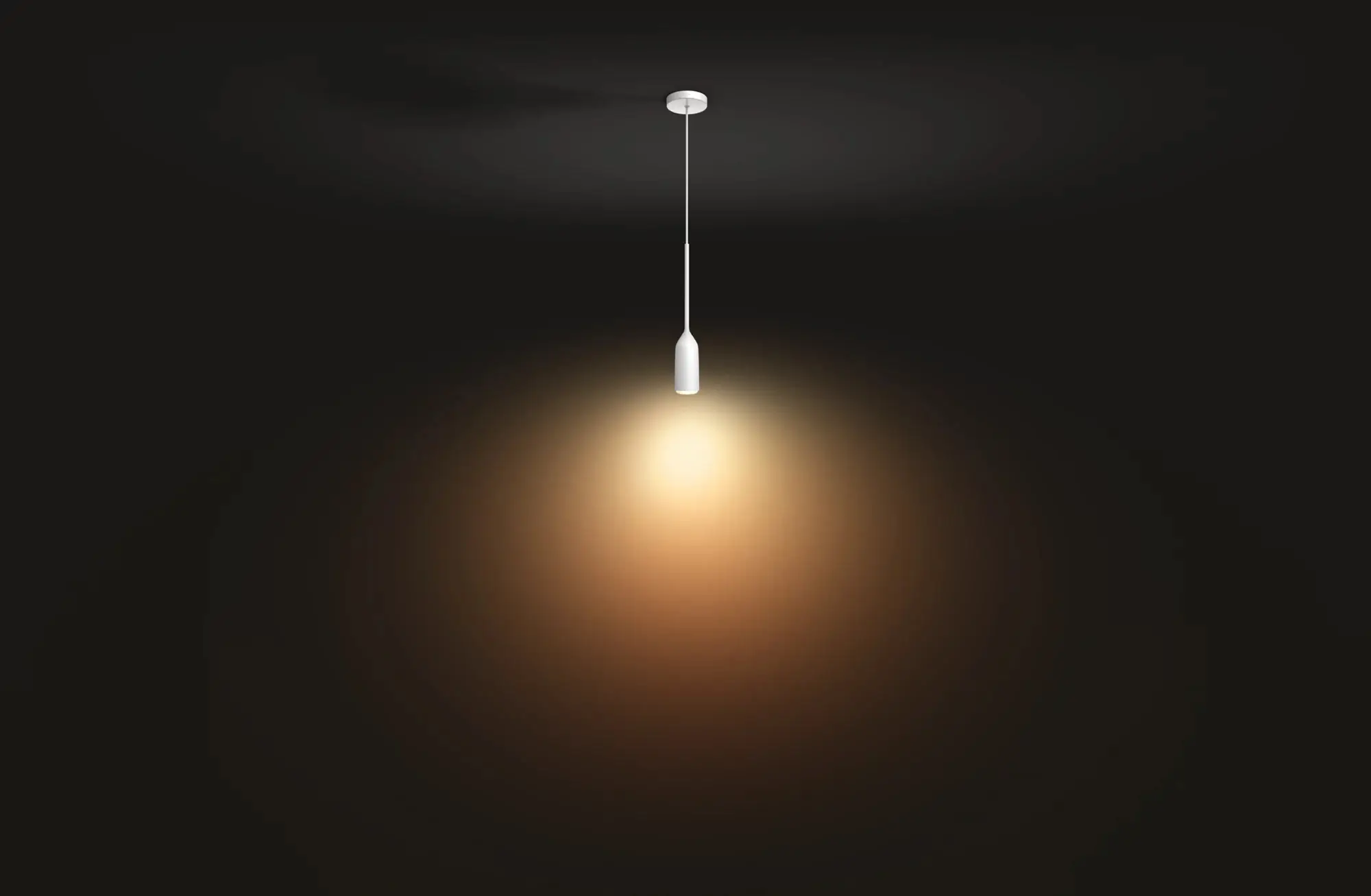 Philips by Signify Devote askı lamba 4300631P7 43006/31/P7 Thumbnail 5