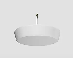 Zyxel IBCACCY-ZZ0102F Antenle