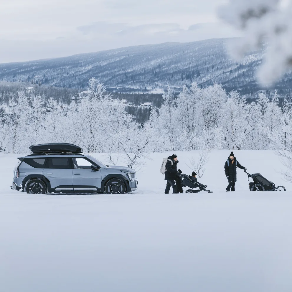 Thule Motion 3 XL low 639401 Thumbnail 6