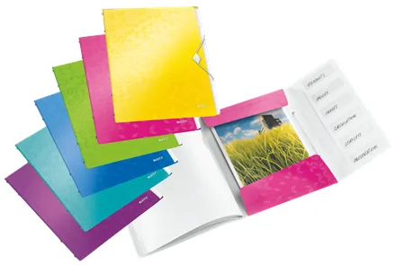 Leitz WOW 46330099 Ayraç
