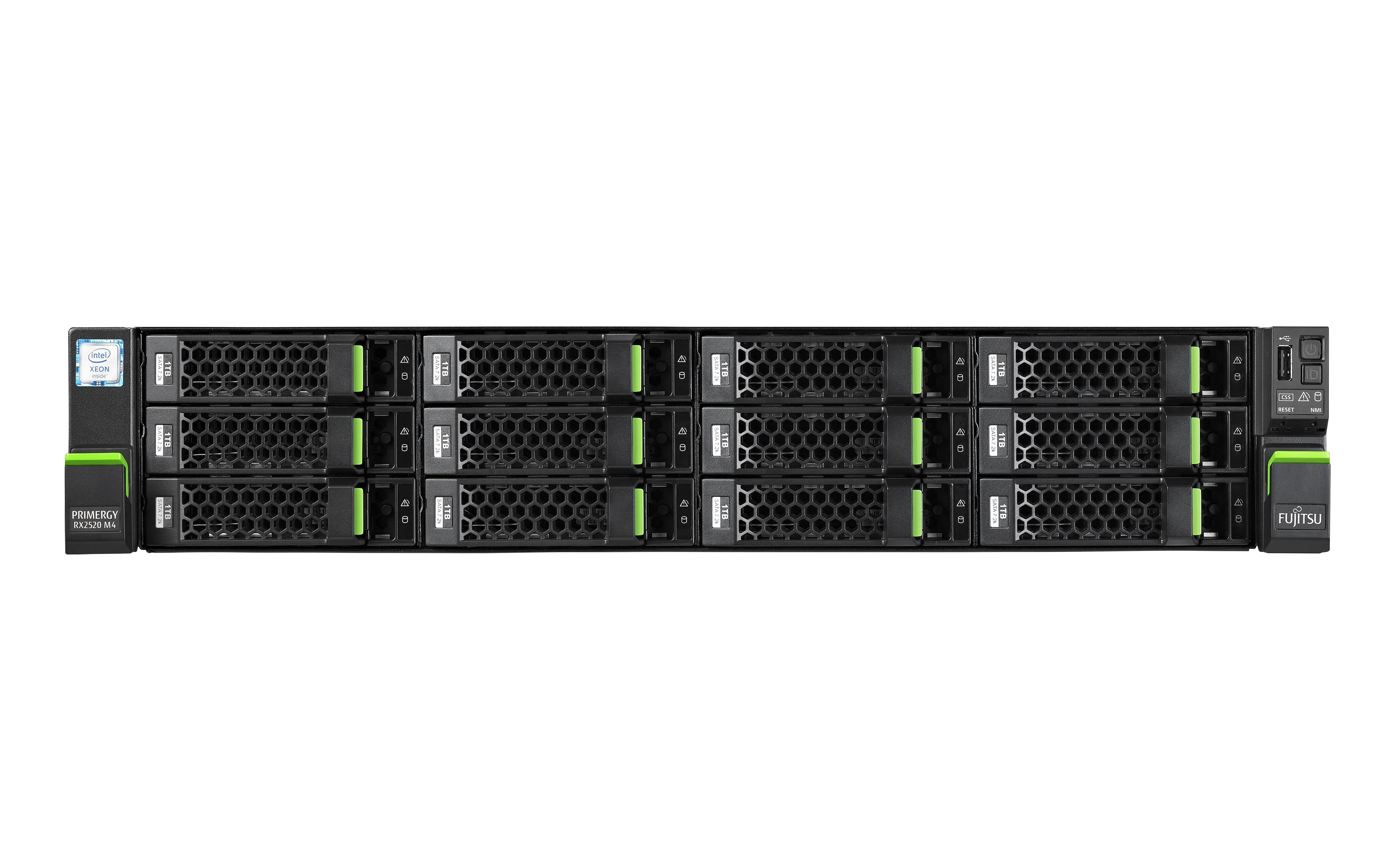 Fujitsu PRIMERGY RX2520 M4 S26361-K1599-V304 Barebone Sunucu