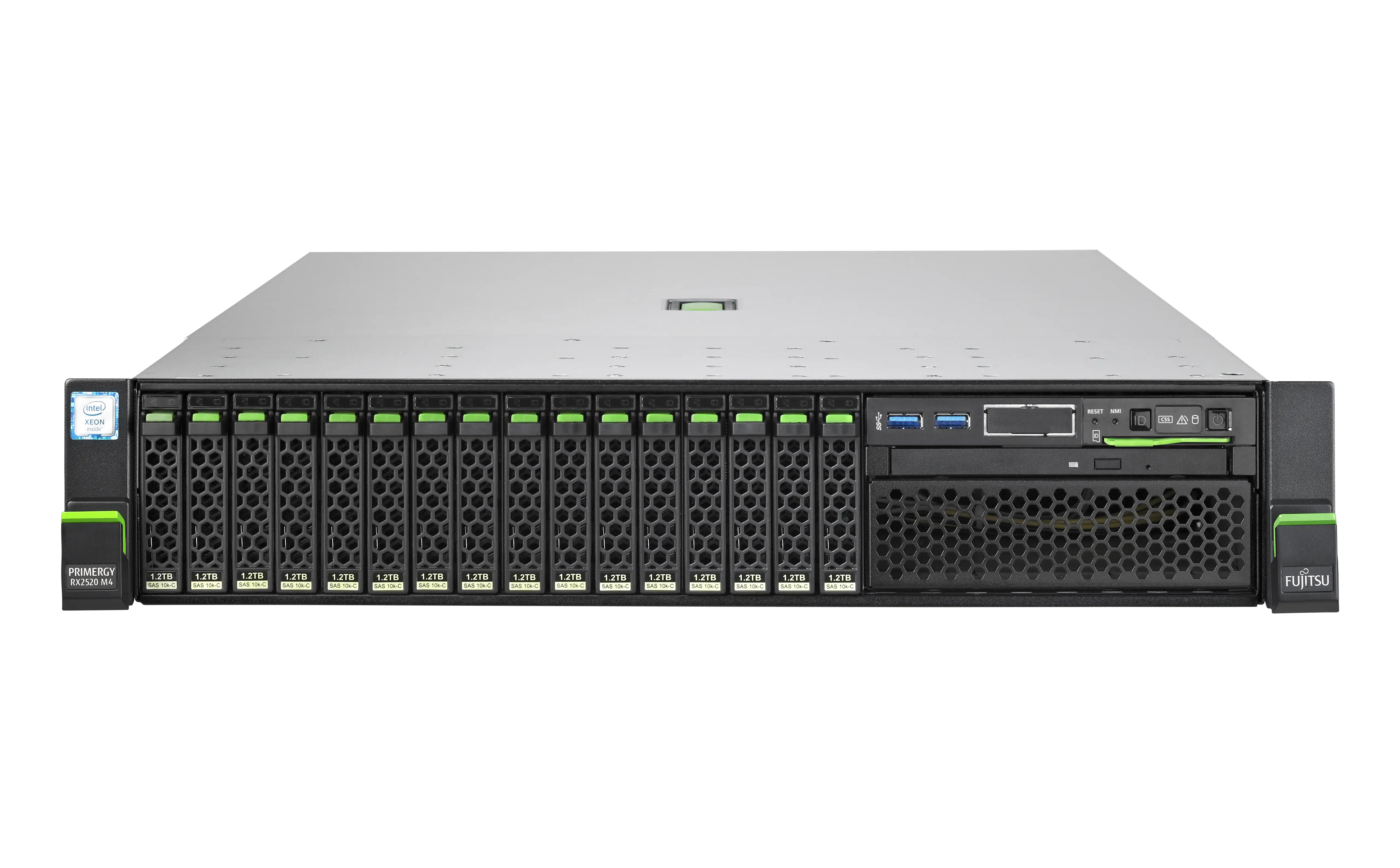 Fujitsu PRIMERGY RX2520 M4 S26361-K1599-V217 Barebone Sunucu