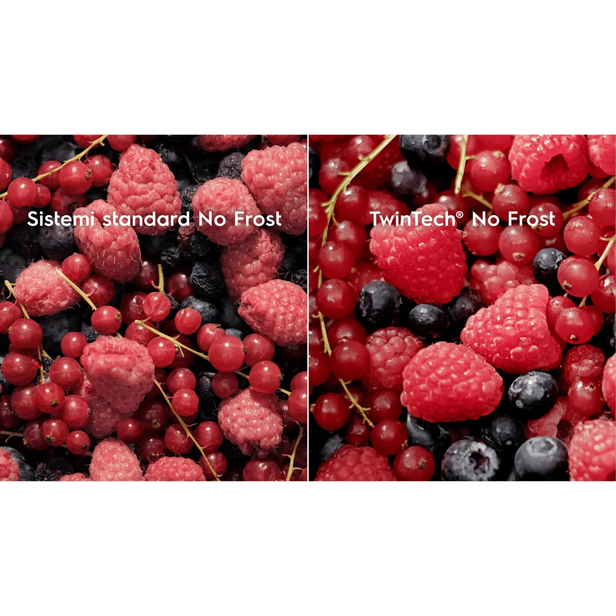Electrolux ENT6NE18S 925 505 302 257 Litre No-Frost Buzdolabı Thumbnail 9