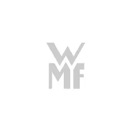 WMF 4000530642370 Çat