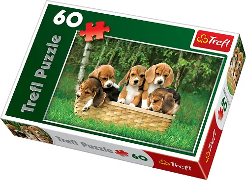 Trefl 17166 60 Parça Puzzle