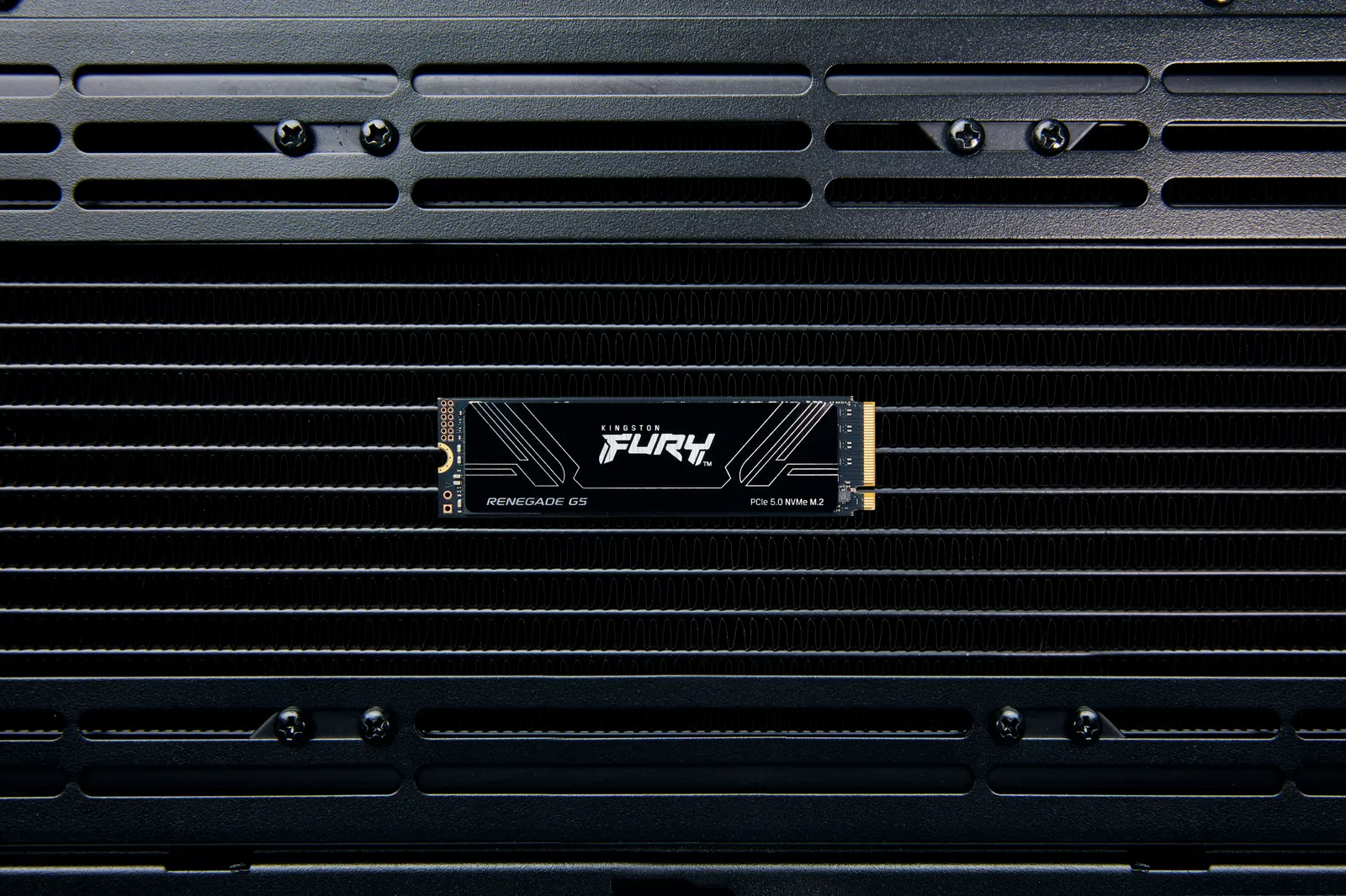 Kingston Technology FURY Renegade G5 SFYR2S/4T0 4 TB M.2 22x80 Gen5 NVMe SSD Thumbnail 6