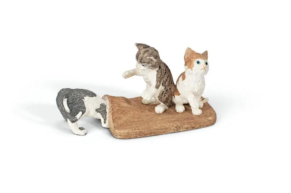 schleich 13674 Farm Life Oyuncak Figür Digital Kame