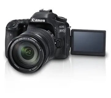 Canon 80D + EF-S 18-200mm F3.5-5.6 IS 3662362049713 Thumbnail 13