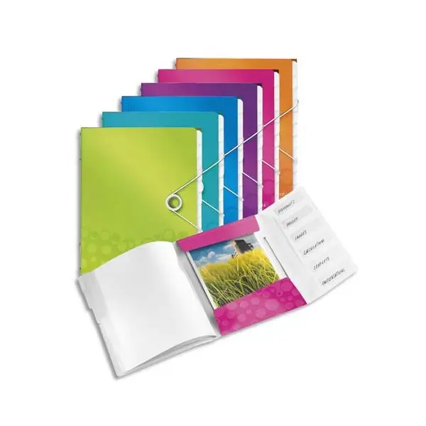 Leitz 46340099 Doküman Tutturaç