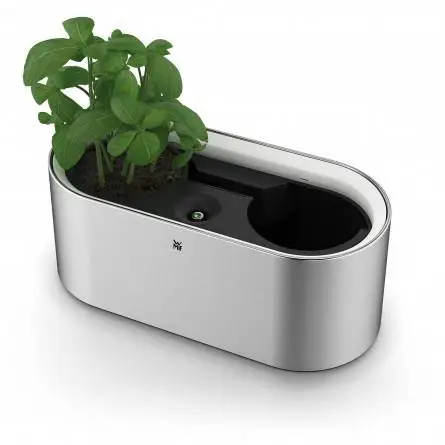 WMF Ambient 04.1901.0011 Ev Için Yapay Se