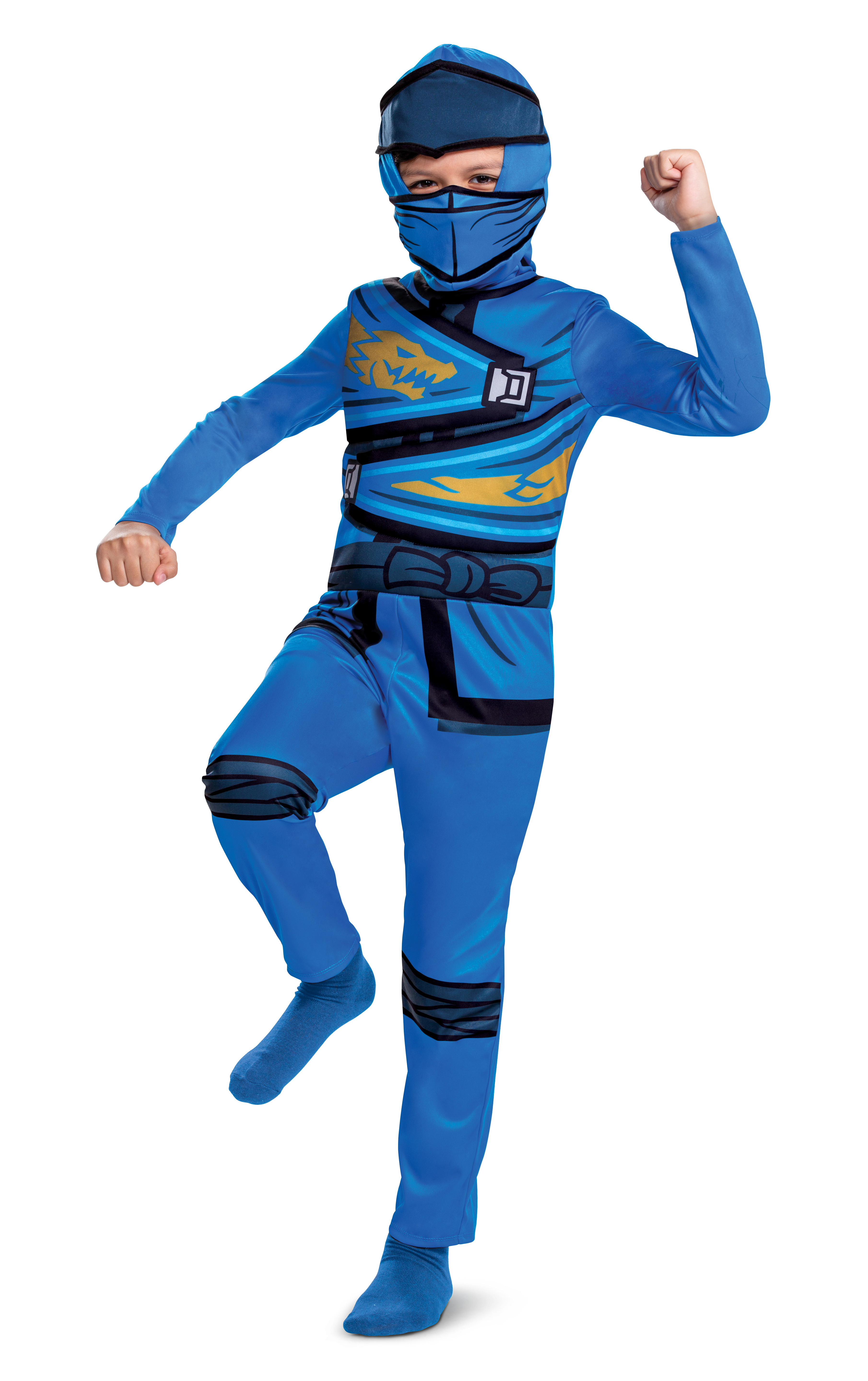 Disguise Jay Fancy Dress Costume 115759K-15L-SAG Fancy Dresses
