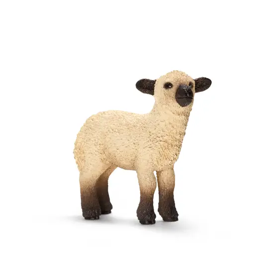 schleich 13682 Farm Life Oyuncak Figür Figür Oyuncak