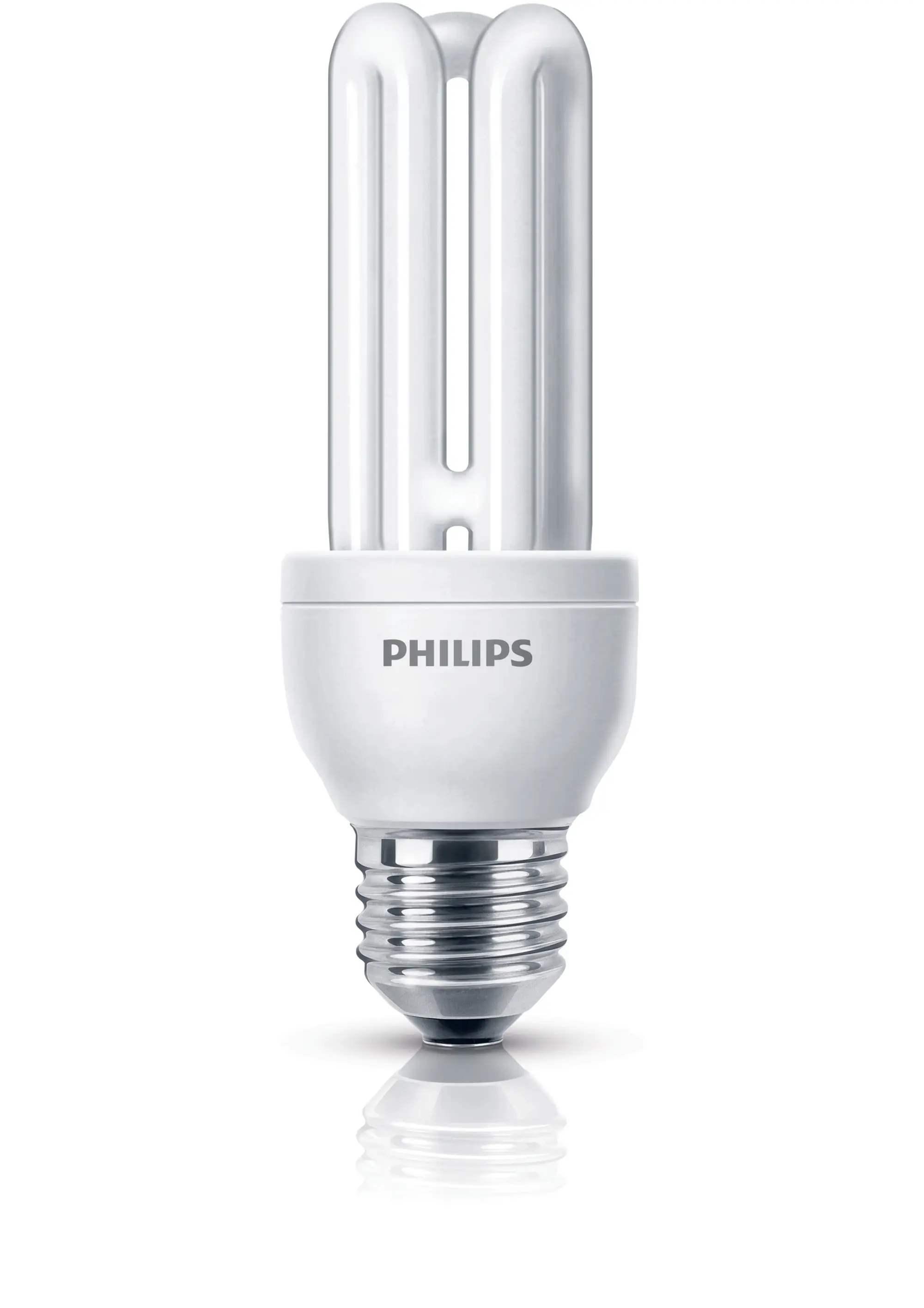 Philips by Signify 8718291730699 14 W Florasan Lamb
