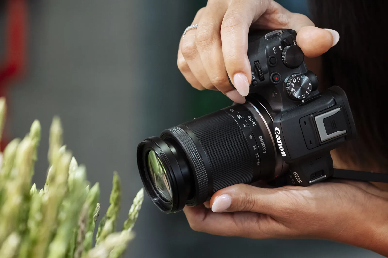 Canon RF-S 18-150 mm f3.5-6.3 IS STM 5564C005 Thumbnail 6