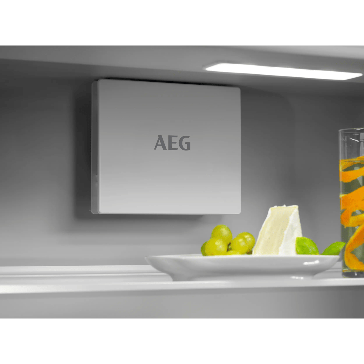 AEG TK6DS181ES 923 581 348 Fridges