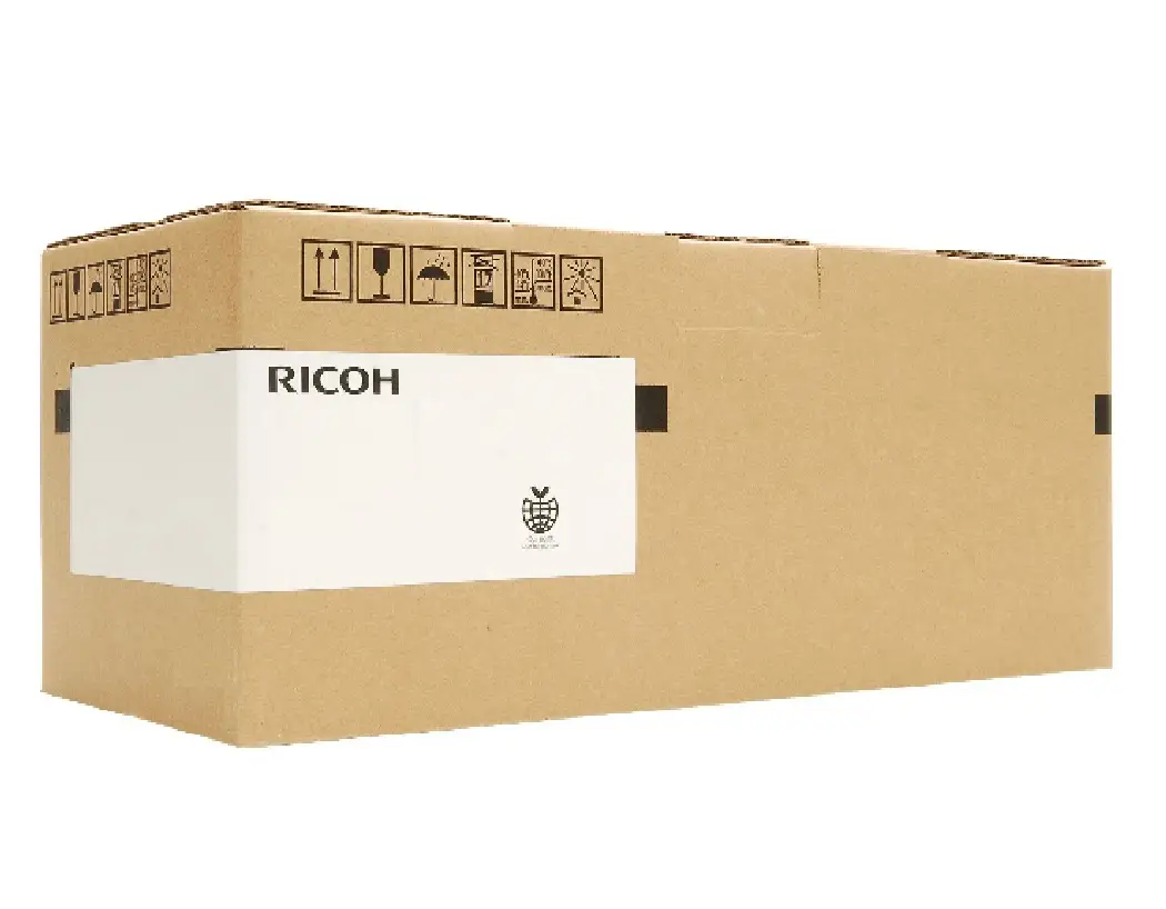 Ricoh M1604029 Fuserle