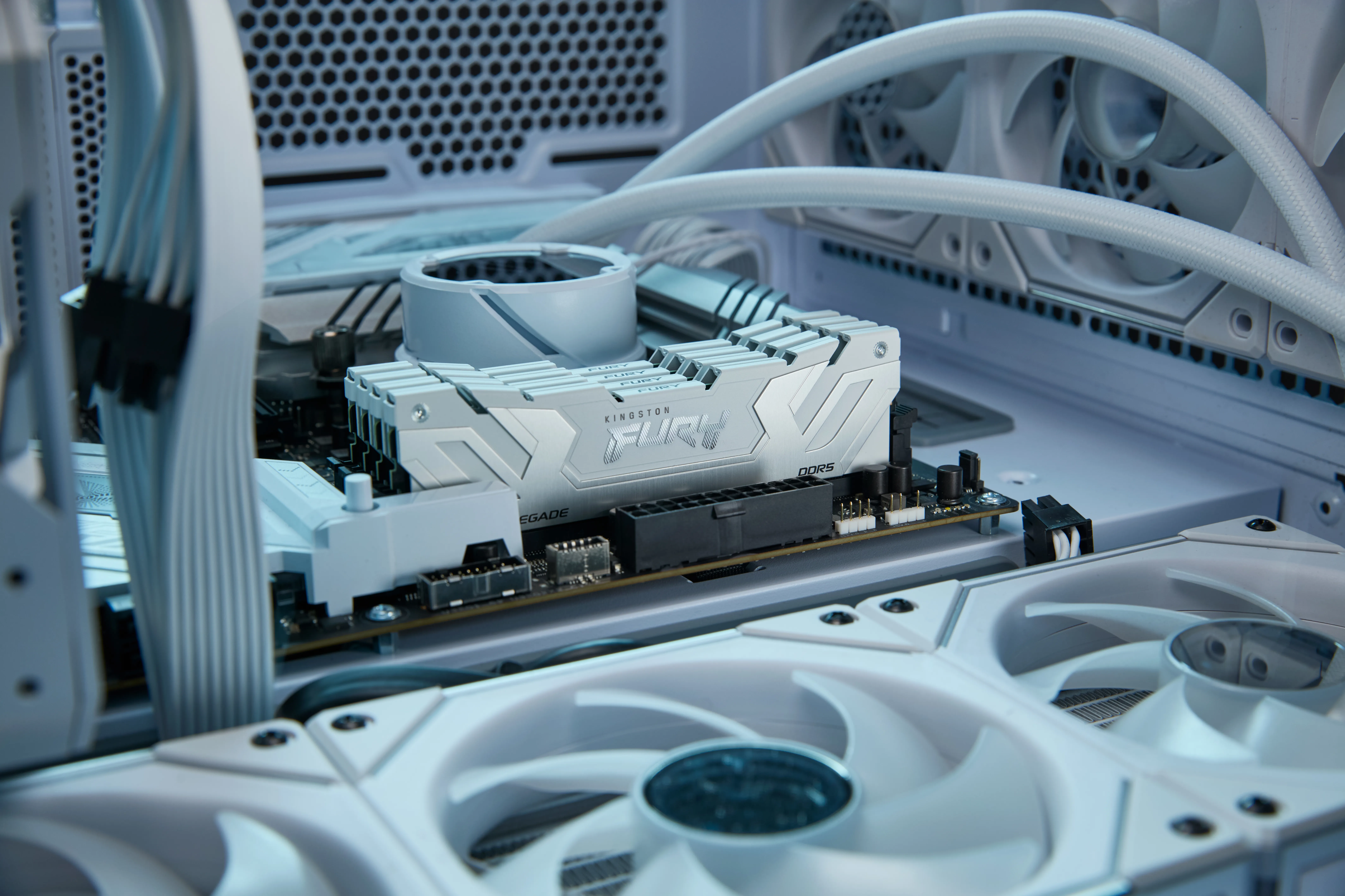 Kingston Technology FURY Renegade KF588CU42RWK2-48 48 GB (2x24GB) DDR5 DIMM RAM Bellek Thumbnail 6