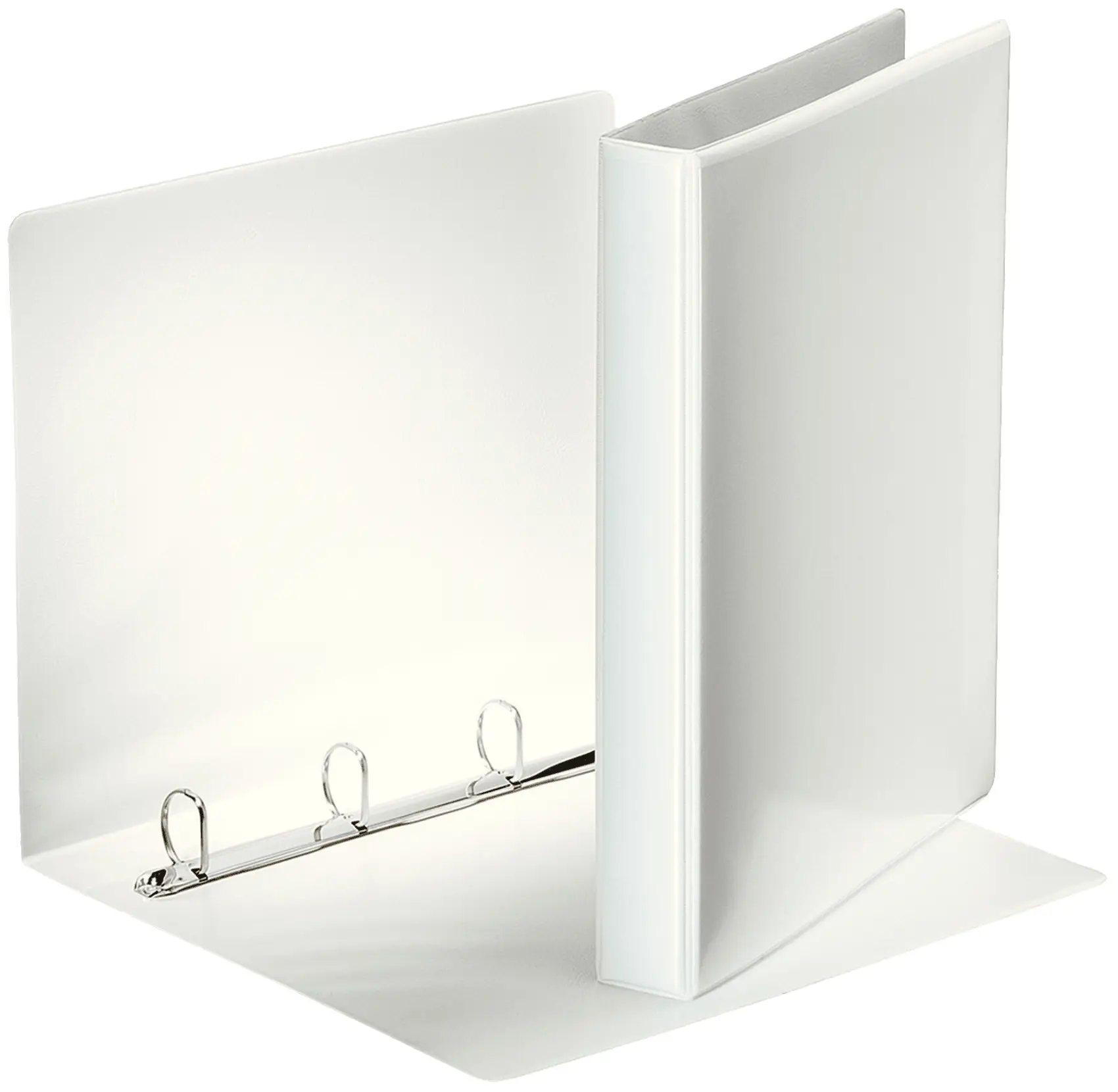 Esselte 2148 Halkalı Defterle