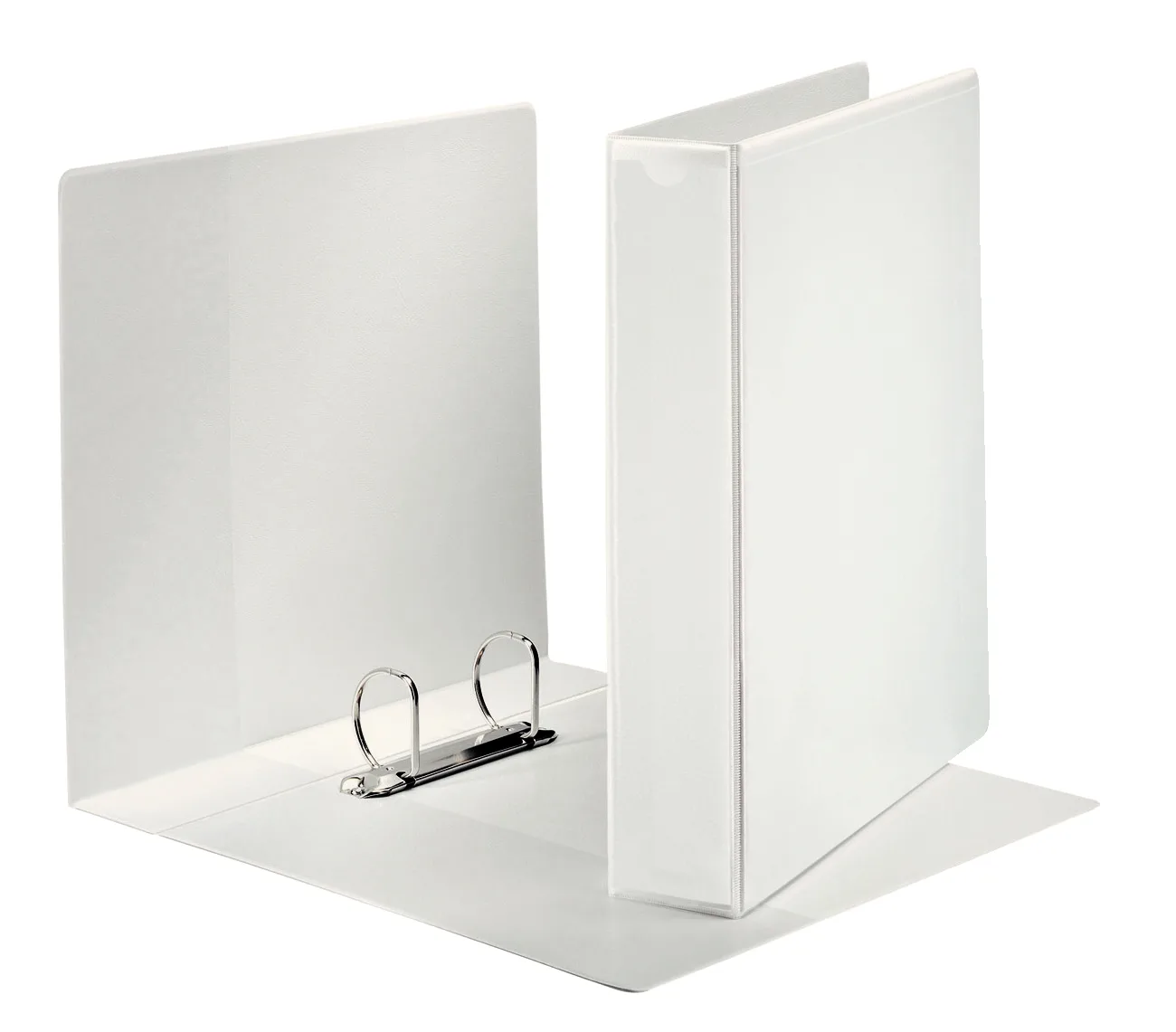 Esselte 55221 Halkalı Defterle