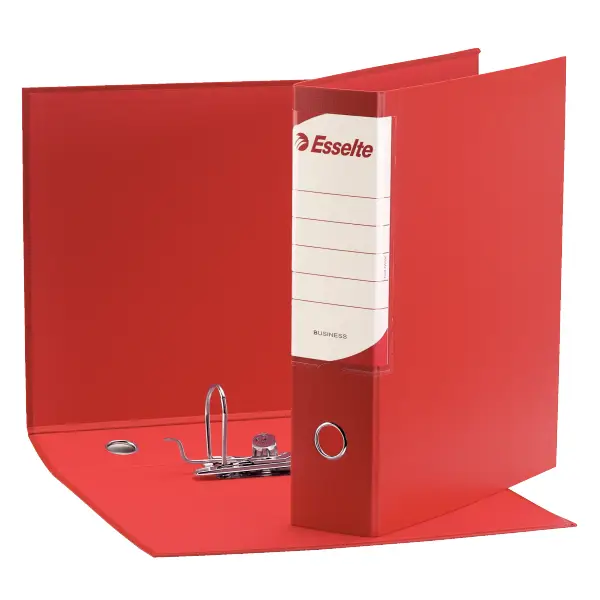 Esselte Business 390793160