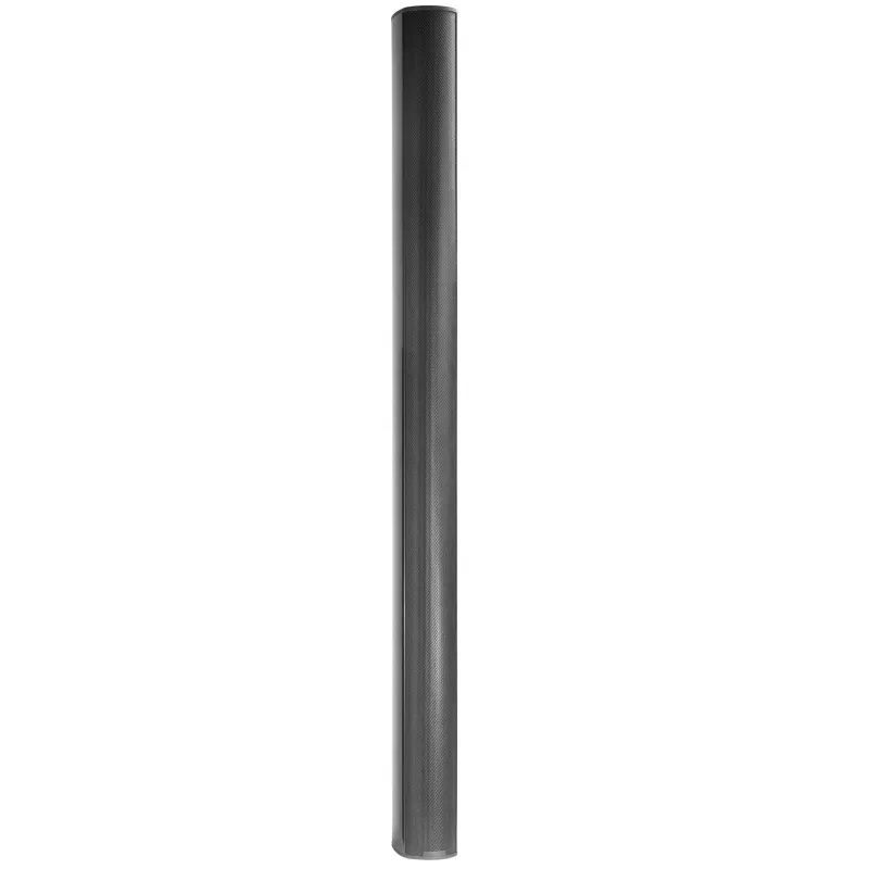 Biamp Desono ENT220 920-00564-10000 Hoparlörle