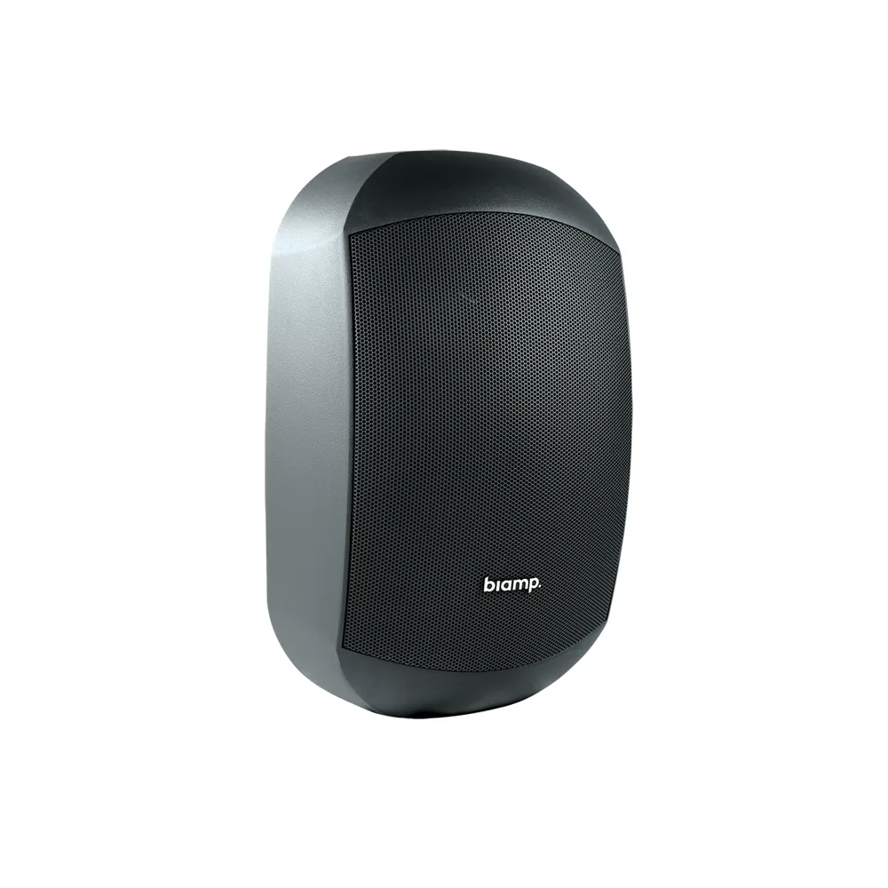Biamp Desono MASK6C 930-00641-00001