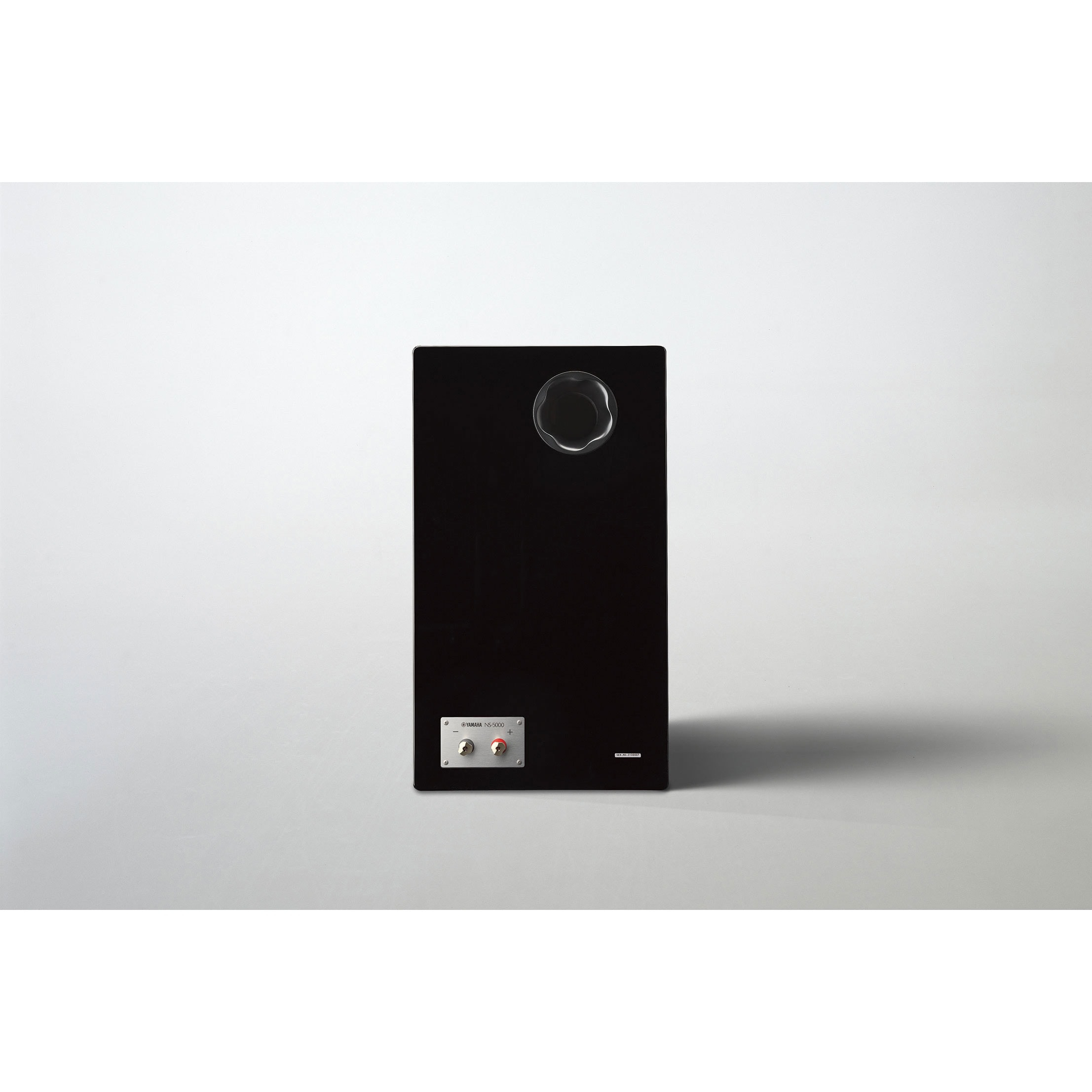 Yamaha NS5000-BLPNL Thumbnail 8