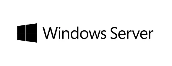 HP Windows Server 2019 Essentials P11070-B21 Işletim Sistemi