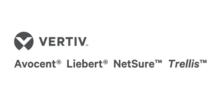 Vertiv 2YGLD-HMX3 KVM Genişleticile