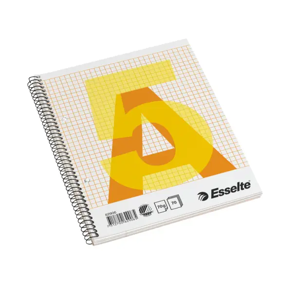 Esselte College Pad A5 62906 Laptop Çantası
