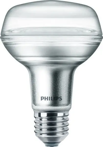 Philips by Signify CorePro 8 W 81185600