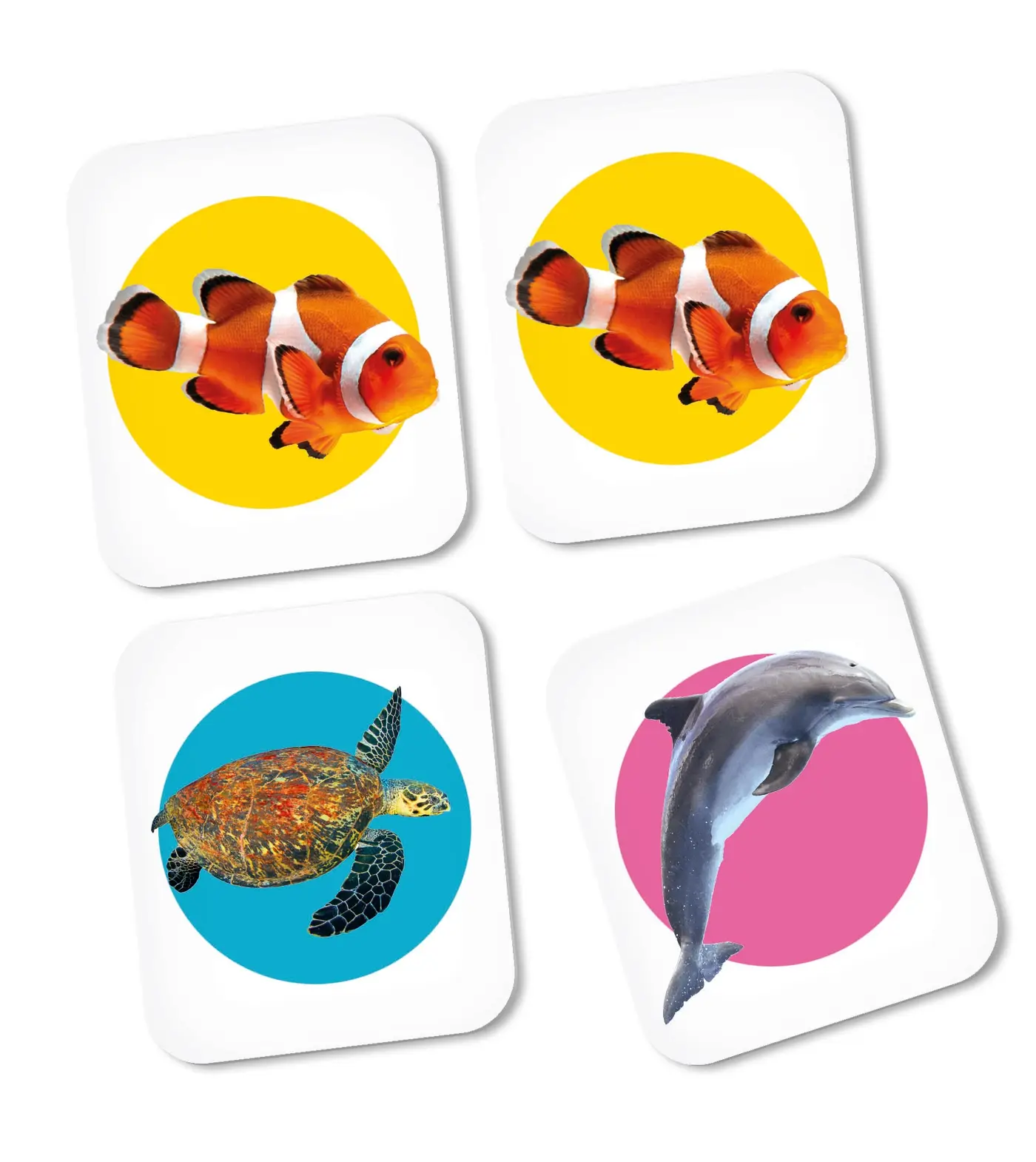Clementoni Memo Seaworld 18085 Kutu Oyunu Thumbnail 1