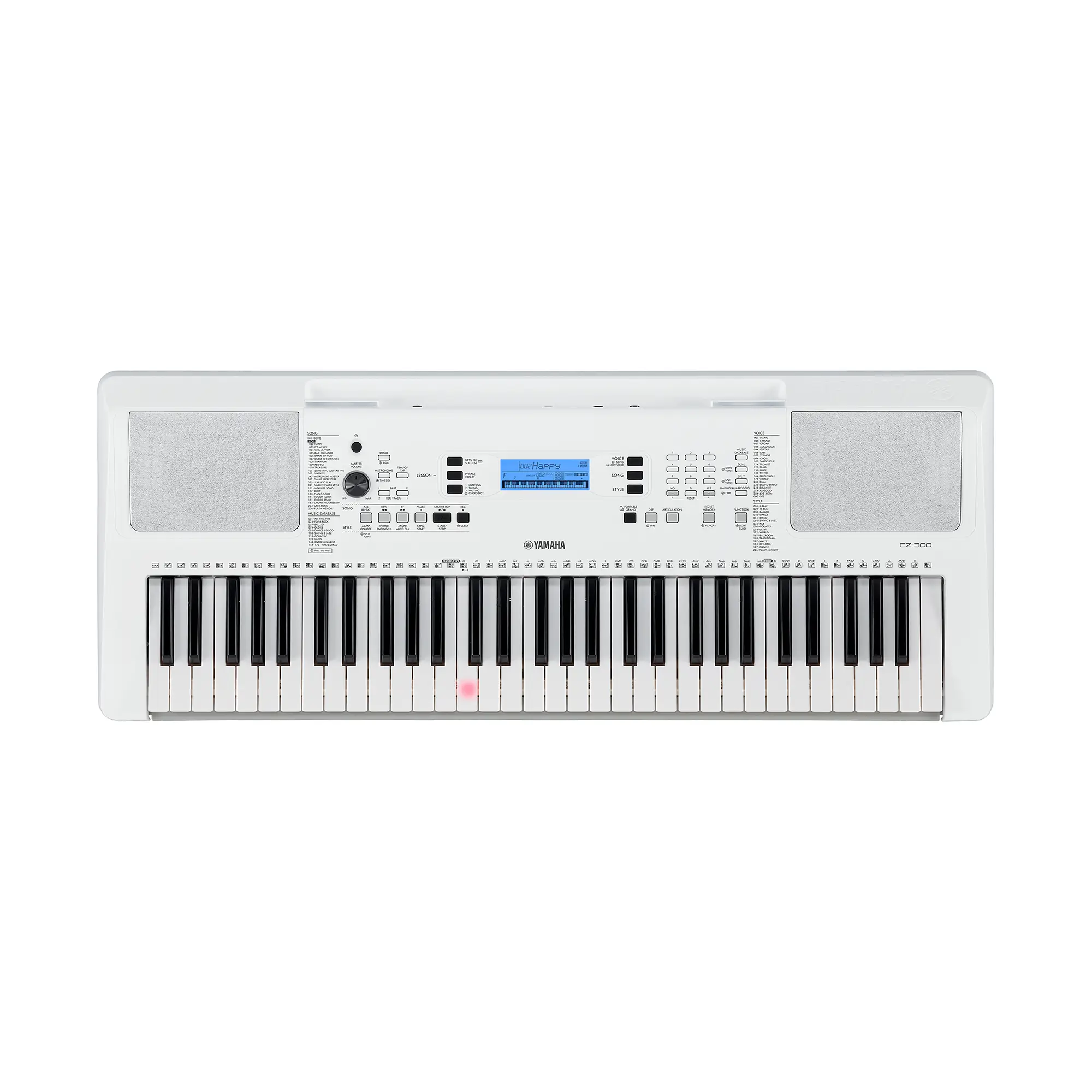 Yamaha EZ-300 SEZ300 Thumbnail 2